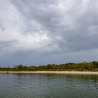 Mangrove National Park
