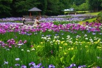 Shirasagi Forest Park