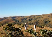 Livingstonia Mission Viphya Plateau.