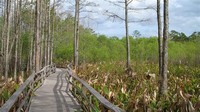 Everglades ​National Park​