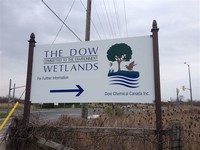 Dow Wetlands Nature Reserve