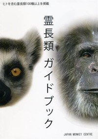 Japan Monkey Center