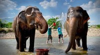 Elephant Rescue Park Tours Office