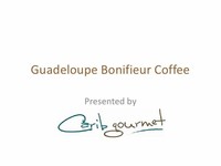 Guadeloupe Bonifieur