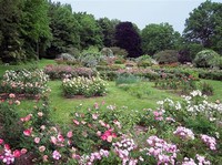 Pardee Rose Gardens