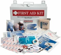 First aid kit (Bandages, Aspirin, Disinfectant Swabs)