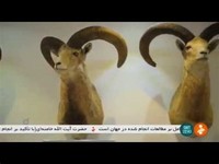 Iran Wildlife and Nature Museum - Dar Abad