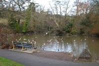 Duck Pond Park