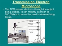 Transmission Electron Microscope (TEM) Use Electrons to Magnify