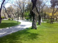 Zorge Park