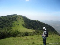Ngong Forest