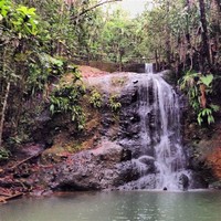 Colo-I-Suva Forest Reserve
