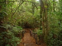 Parque Nacional La Tigra Tegucigalpa