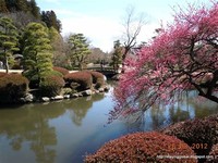 Sakasagawa Green Park