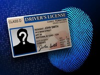 Driver's License Identity Theft