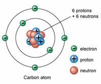 United-Atom Carbons