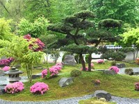 Japanese Garden Bielefeld