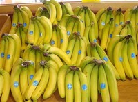 Banana​