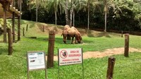 Parque ZoolóGico Municipal de Bauru