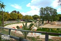 Zoo Tunis