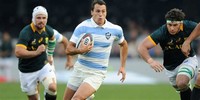 Argentina ​National Rugby Union Team​