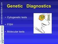 Molecular Genetic Tests (or Gene Tests) 