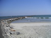 Huntington State Beach