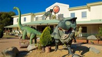 National Dinosaur Museum