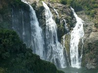 Shivanasamudra ​Falls​