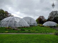 Botanical ​Garden of the University of Zurich​