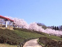 Tsutsuji Park