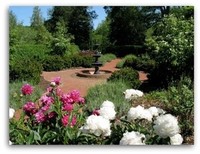 Tanglewood Park Arboretum and Rose Garden