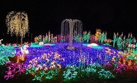 Garden D'Lights - Bellevue