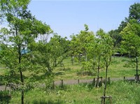 Shimotsukekokubunnijiato Park