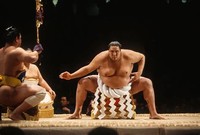 Professional Sumo Wrestling