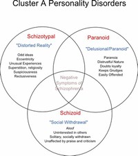 Suspicious Paranoid, Schizoid, Schizotypal and Antisocial