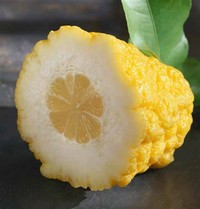 Citron​