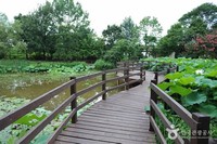 Korea Highway Corporation Arboretum