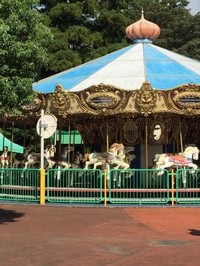 Noah Forest Amusement Park