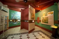 Museo Del ÁMbar