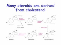 Steroids Which are Derived From Cholesterol