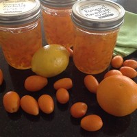 Kumquat Marmalade 66 Reviews