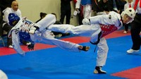 Taekwondo​