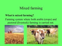 Mixed Farming is Both Arable and Pastoral