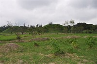 Zona ArqueolóGica Toxpan