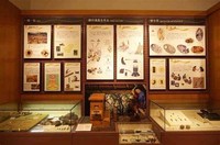 Ginowan City Museum