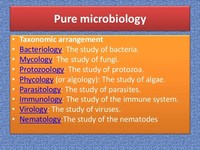 Phycology/Algology: the Study of Algae