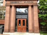 Harvard Museum of Natural History