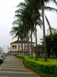 Manoel Bonito Square