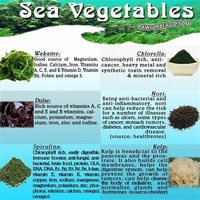 Sea Vegetables